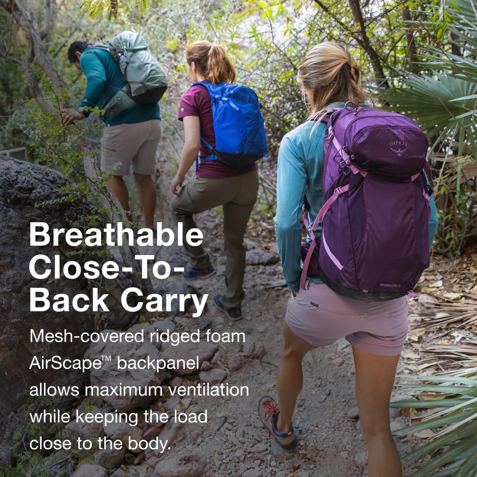 Osprey Sportlite 25L Lightweight Hiking Backpack for Men and Women, Tungsten/Grey Wolf,S/M