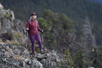 Alps Mountaineering Journey Trekking Pole, Gray