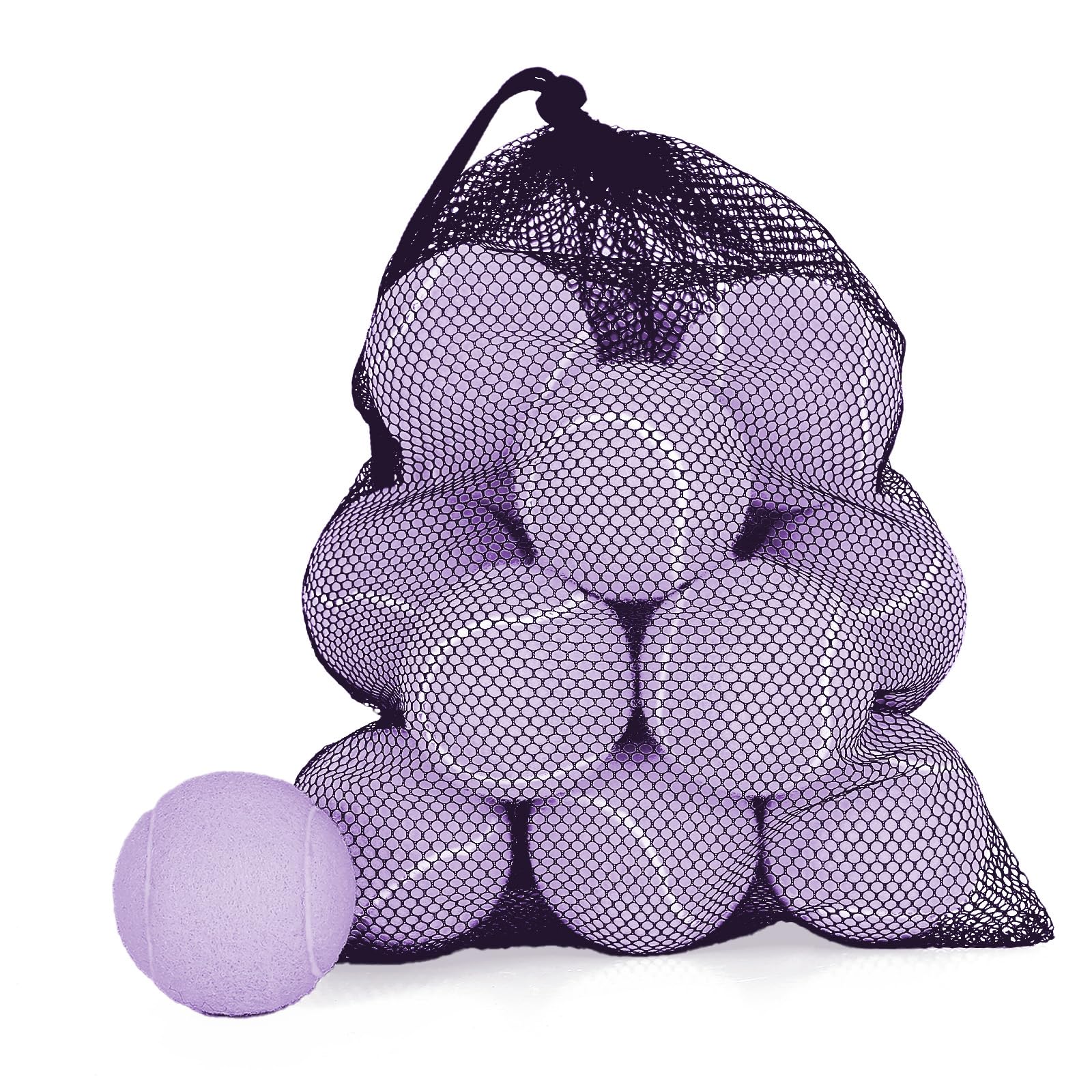 MRYCZ FYRHD Training Tennis Balls - 12 Pack Practice Balls with Mesh Bag, Great for Beginners & Dogs, Bulk Tennis Balls for Trai