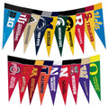 Rico Industries Ncaa Big Ten Complete 4'' X 9'' Felt Mini Pennant League Set (Includes All Teams)