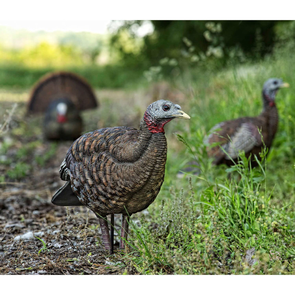 Avian-X Breeder Lifelike Collapsible Decoy Lcd Folding Hen Turkey Hunting Decoy W/ 24 Inch Stake, No Flake Lifelike Paint Detail