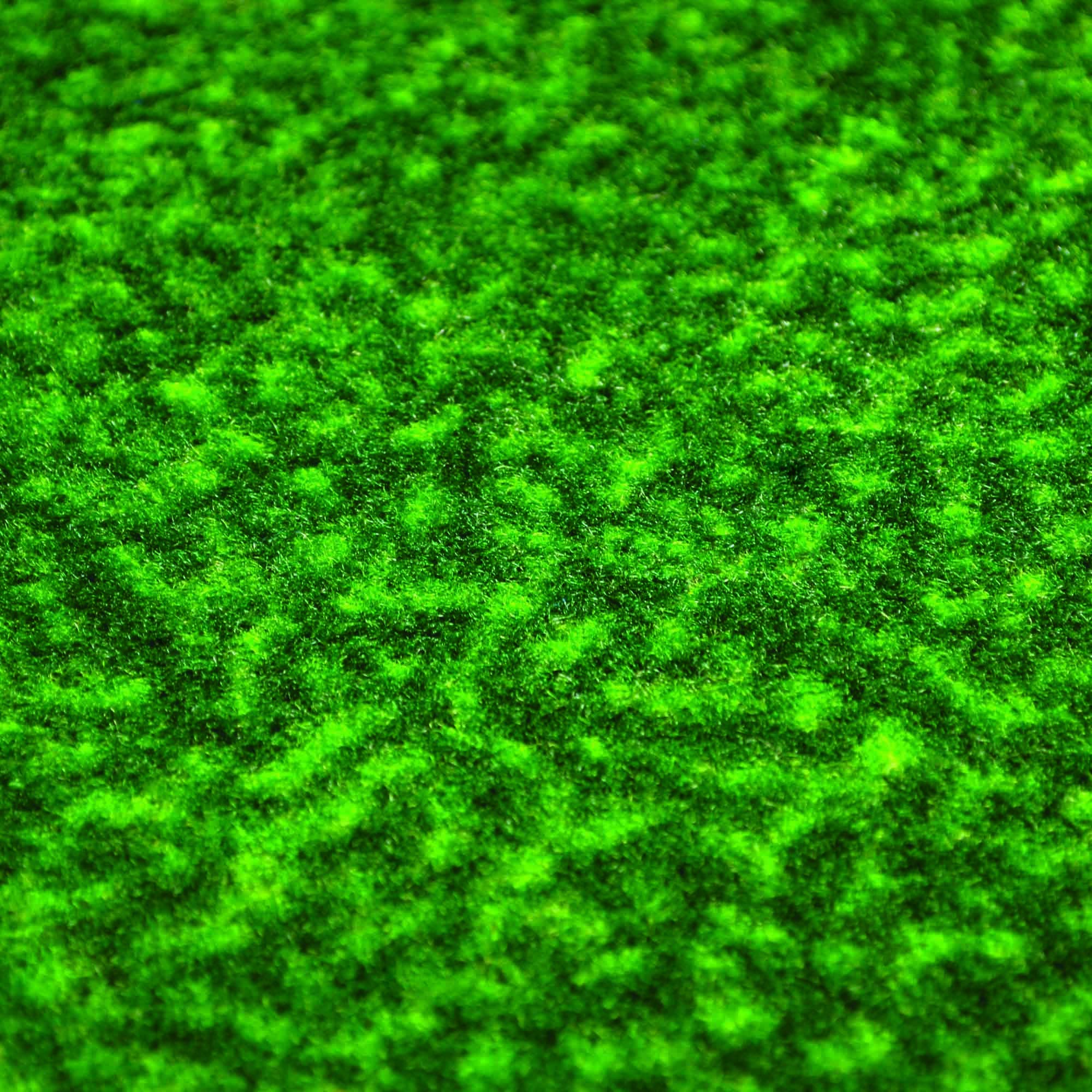 Fanmats 9087 Texas Longhorns Putting Green Mat - 1.5Ft. X 6Ft.
