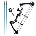 Southland Archery Supply SAS Scorpii 55 Lb 29 Compound Bow (Black Kit Package)