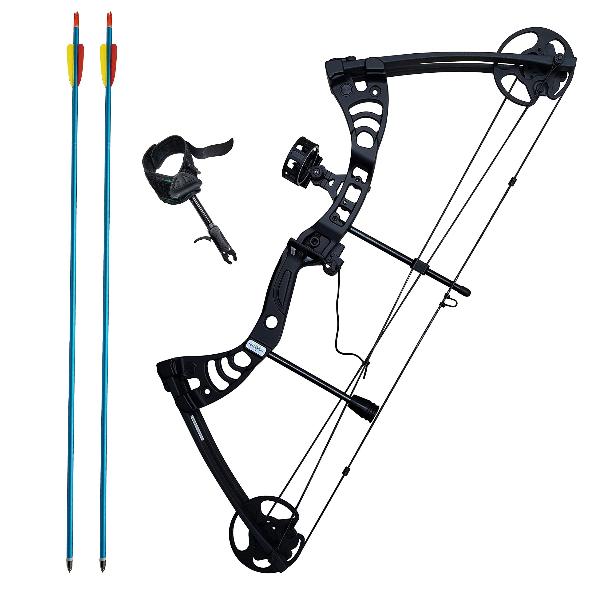 Southland Archery Supply SAS Scorpii 55 Lb 29 Compound Bow (Black Kit Package)