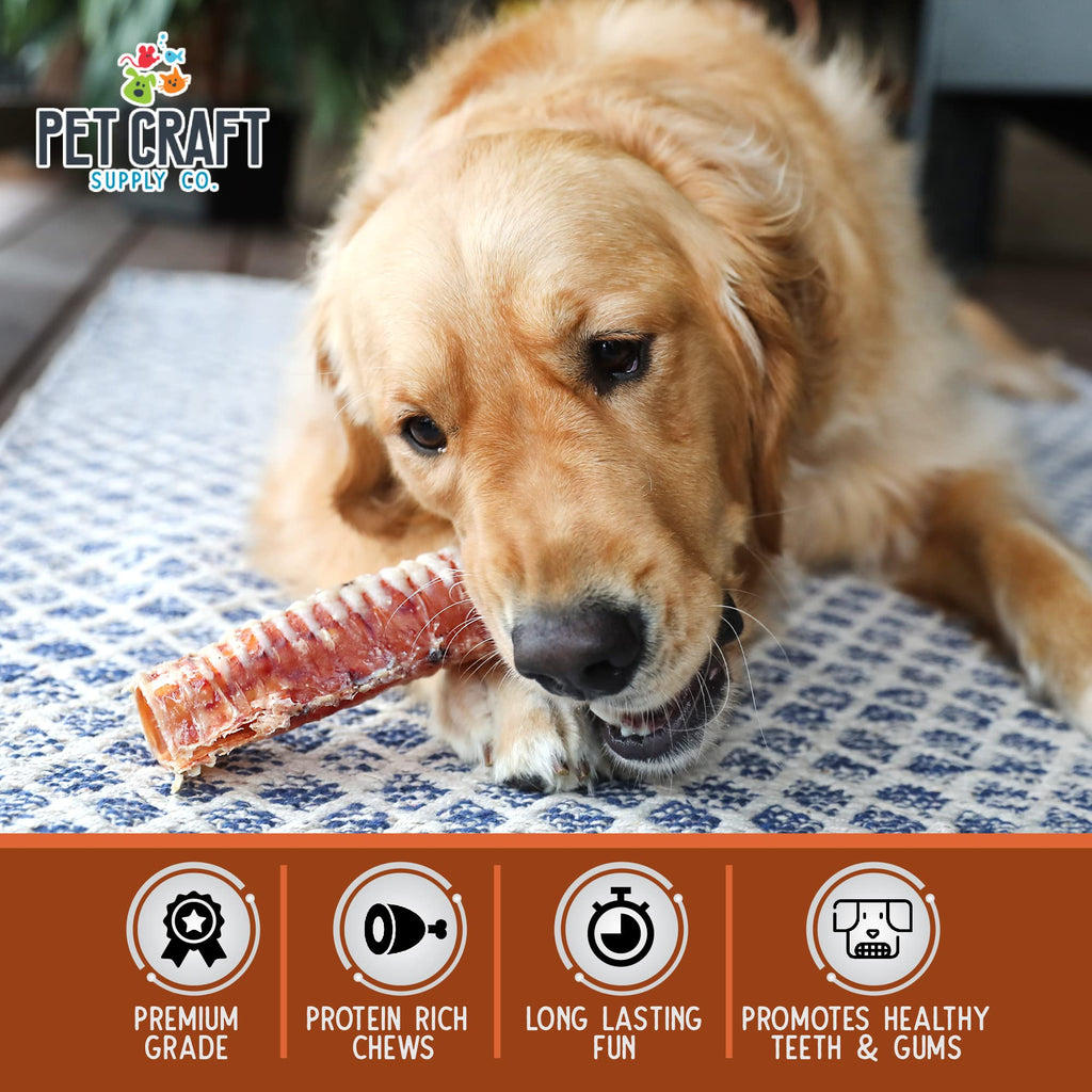 Pet Craft Supply All Natural Healthy Beef Trachea Bones Dog Chews Treats For Aggressive Chewers Long Lasting Rawhide Free Made I