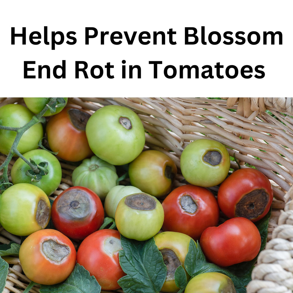 Hi-Yield (32128) Ammonium Calcium Nitrate 15-0-0, Helps Precent Blossom End Rot In Tomatoes (3.25 Lbs.)