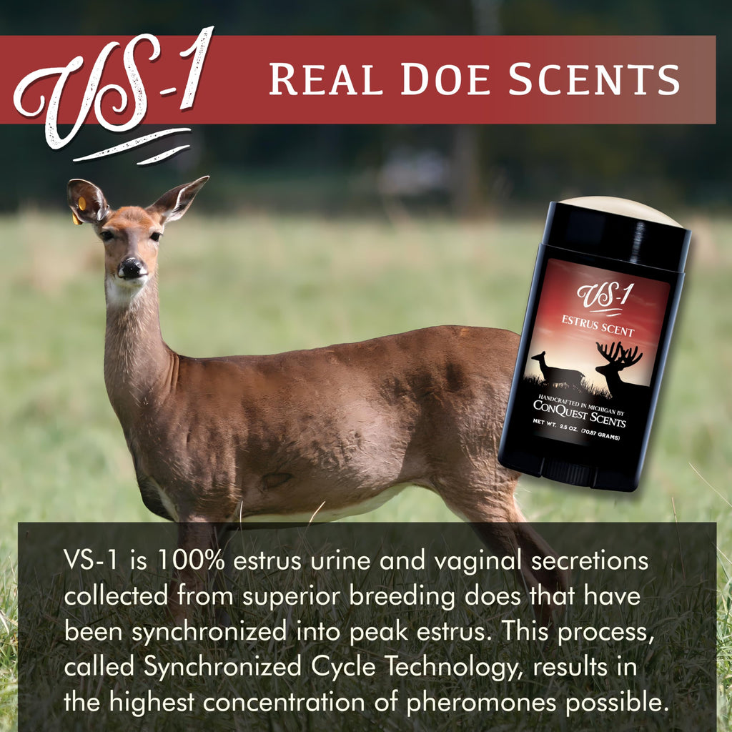 Conquest Scents Vs-1 Deer Scent Stick - Deer Attractant & Doe Estrus Scent, For Pre-Rut, Rut, And Post-Rut, Versatile Hunting Wa