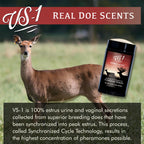 Conquest Scents Vs-1 Deer Scent Stick - Deer Attractant & Doe Estrus Scent, For Pre-Rut, Rut, And Post-Rut, Versatile Hunting Wa