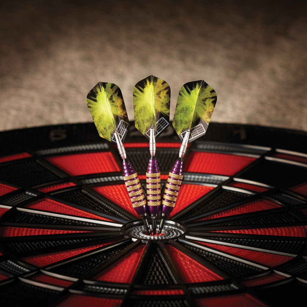 Viper Spinning Bee Soft Tip Darts With Casemaster Storage/Travel Case, Purple, 16 Grams