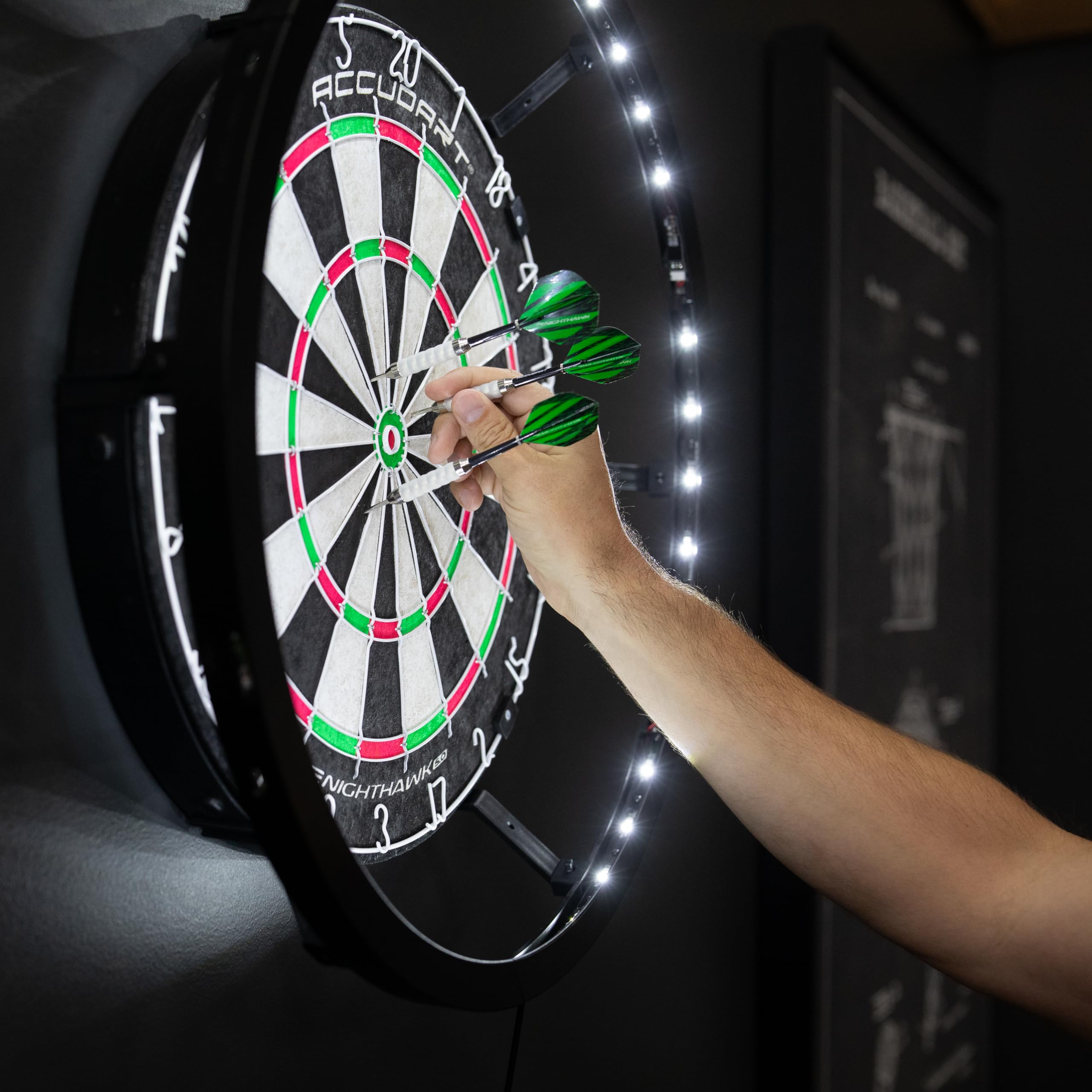 Accudart Nighthawk 2 In 1 Led/Blacklight Bristle Dartboard Surround Set - Official Size Dartboard - 360 Degree Lighting - Blackl