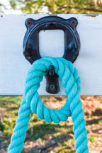 Intrepid International Horse Bridle Rack