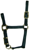 Hamilton 3/4-Inch Adjustable Quality Horse Halter, Foal or Average Miniature Horse, Dark Green