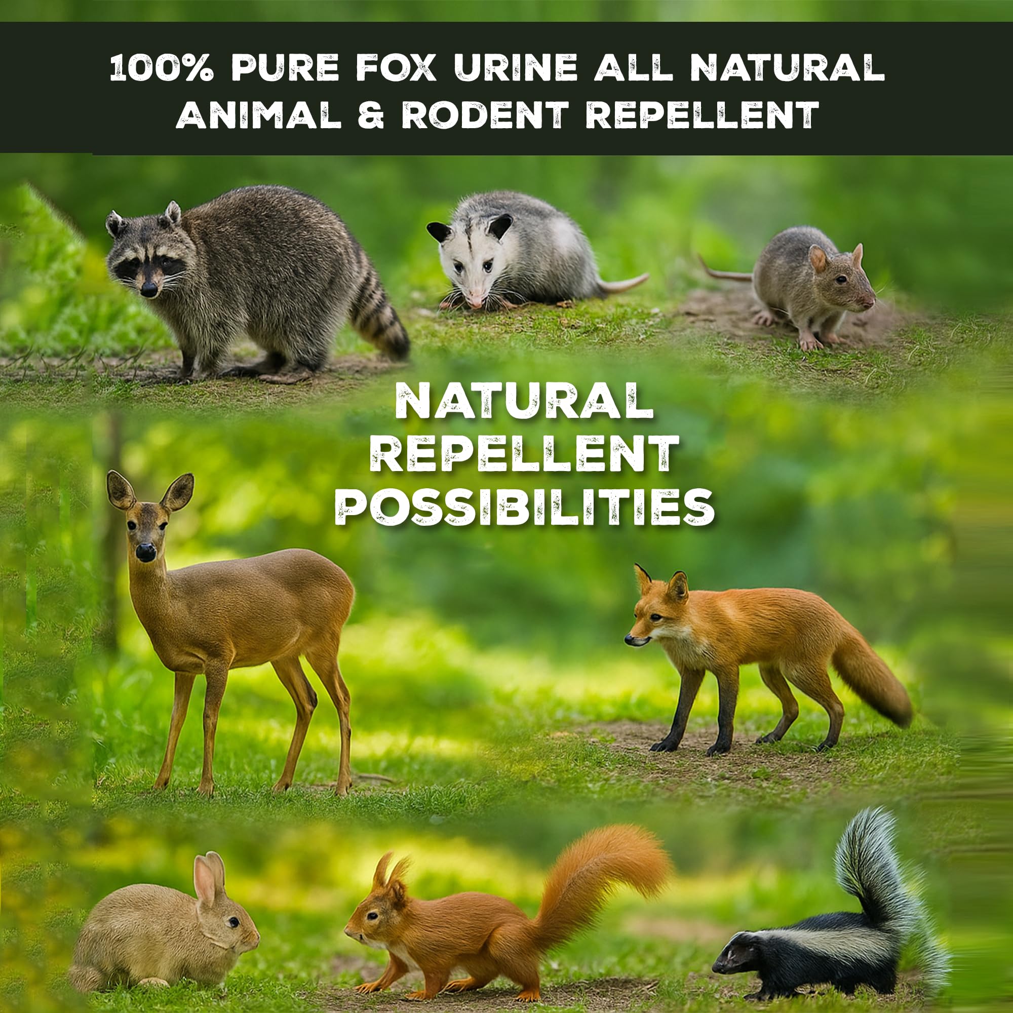 North American Trapper 100% Pure Fox Urine - Long-Lasting Scent Attractant for Fox, Bobcat & Coyote Trapping - Natural Predator
