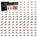 Goture Fly Fishing Flies,120Pcs Fly Fishing Lures With Tackle Box,Dry,Wet,Streamers Nymphs Flies Assortment Kit For Bass Trout P