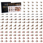 Goture Fly Fishing Flies,120Pcs Fly Fishing Lures With Tackle Box,Dry,Wet,Streamers Nymphs Flies Assortment Kit For Bass Trout P