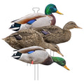 Higdon Outdoors Flats | Mallard Duck Standard Silhouette Decoys for Waterfowl Hunting | Realistic Lightweight Weather Resistant 