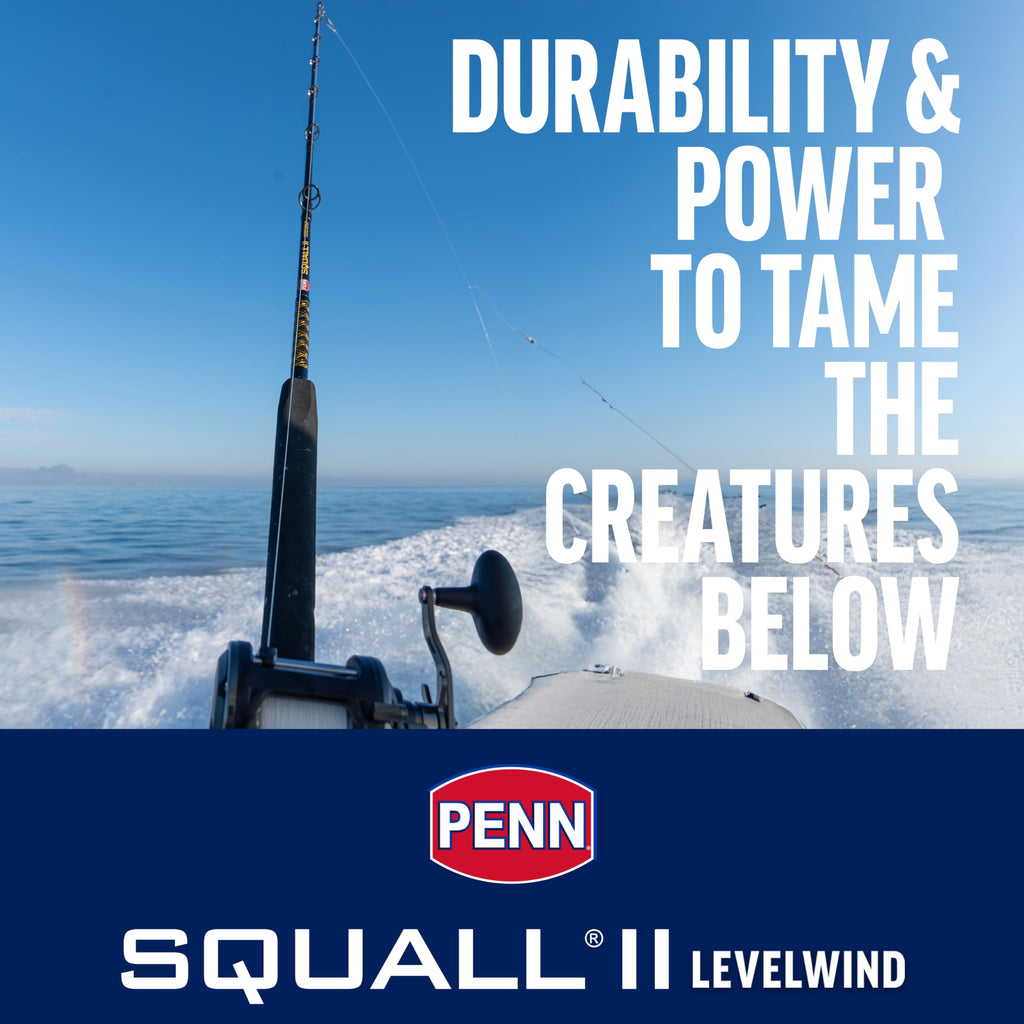 Penn Squall Ii Level Wind Conventional Reel And Fishing Rod Combo, Black/Gold