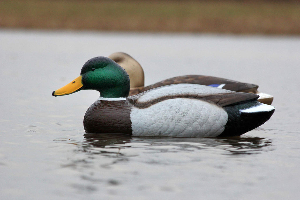 Flambeau Outdoors 5900Msu Masters Series Extreme Mallard Duck Decoys 3-Pack Hunting Decoys
