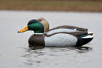 Flambeau Outdoors 5900Msu Masters Series Extreme Mallard Duck Decoys 3-Pack Hunting Decoys