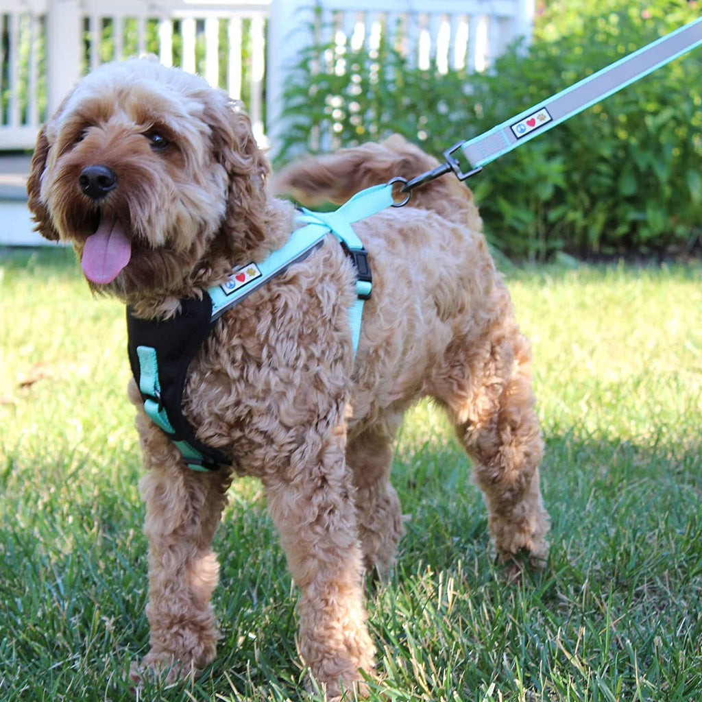 Pawtitas 6 Ft Padded Dog Leash With Comfortable Neoprene Padding Handle - Camo Green Lead  Medium Reflective Dog Leash With High