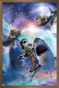 Trends International James Booker - Galaxy Cat Sharks Wall Poster