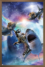 Trends International James Booker - Galaxy Cat Sharks Wall Poster