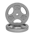 CAP Barbell Standard 1-Inch Grip Weight Plates 25 lbs Gray, Pack (x2) (RWPIS-025B)