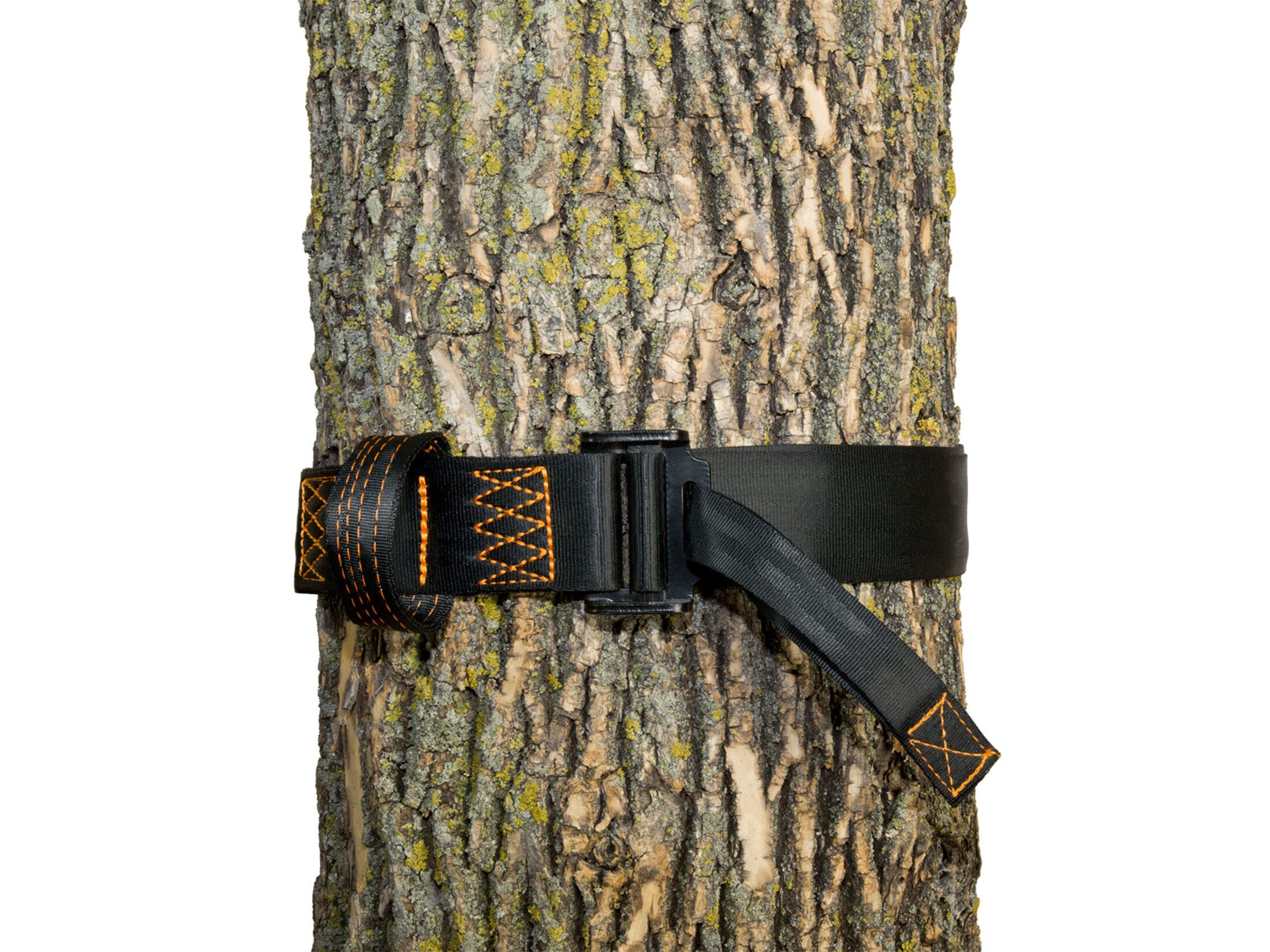 Muddy Safety Harness Tree Strap With Nylon Webbing, 300Lb Weight Capacity, Rugged Steel Buckle, And Double-Stitched Loop (One Si