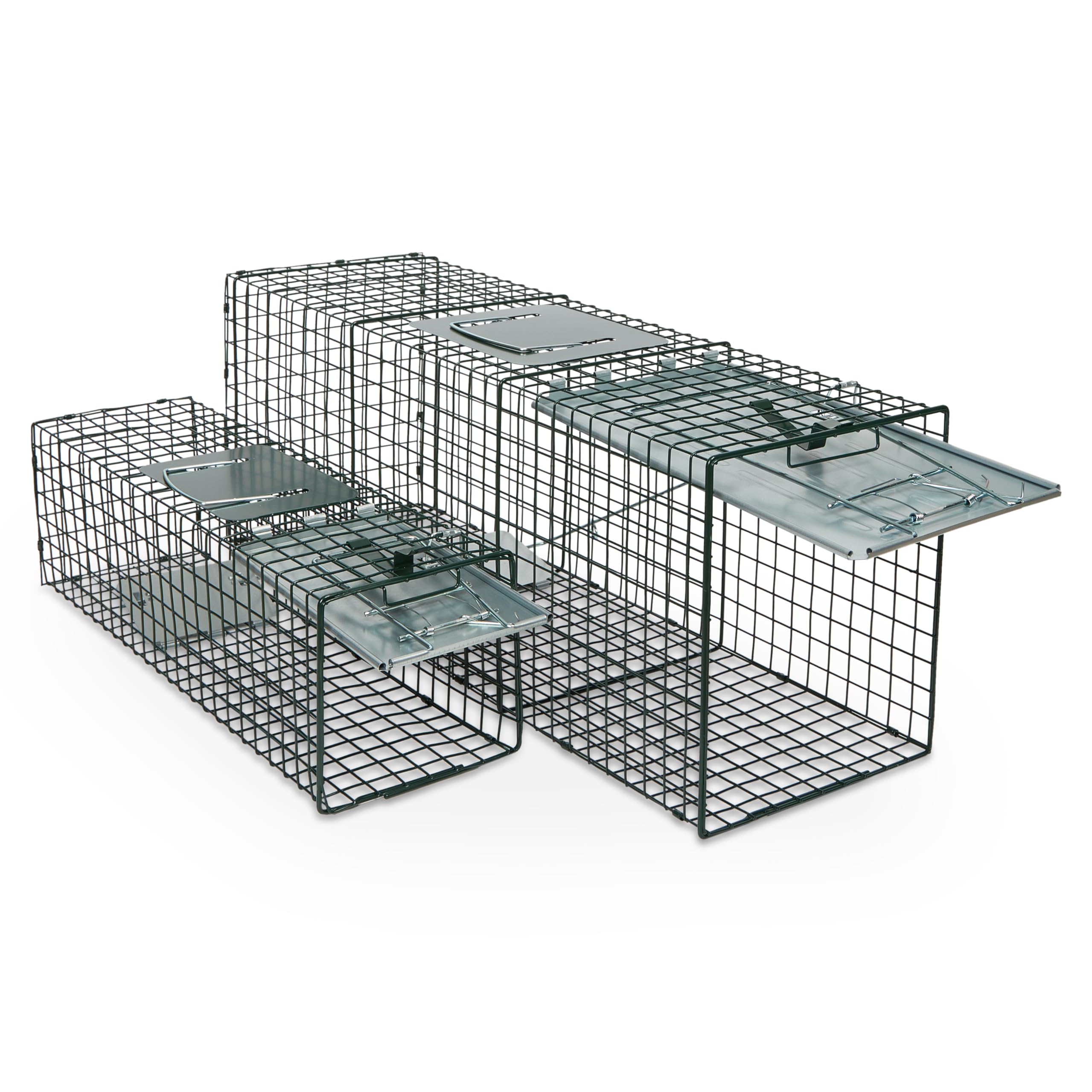 Humane Way Sentinel 32 Inch + 24 Inch Live Animal Trap Combo Pack - No Assembly Required - Raccoons, Cats, Groundhogs, Opossums,