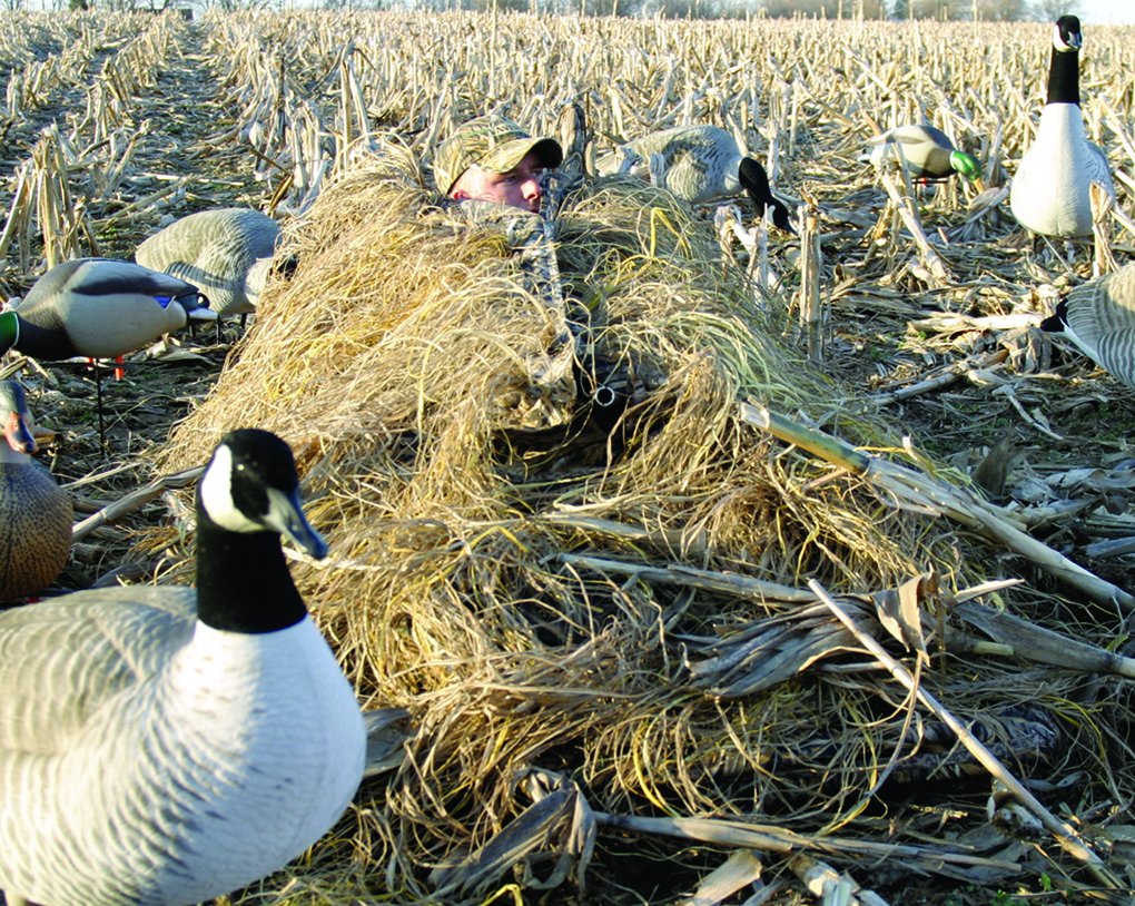 Avery Killerweed Layout Blind Kit - Blind Covering Material (Gold Harvest)
