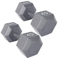 CAP Barbell 45 LB Cast Iron Hex Dumbbell Hand Weight - Pair | Grey