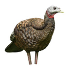 Avian-X Breeder Lifelike Collapsible Decoy Lcd Folding Hen Turkey Hunting Decoy W/ 24 Inch Stake, No Flake Lifelike Paint Detail