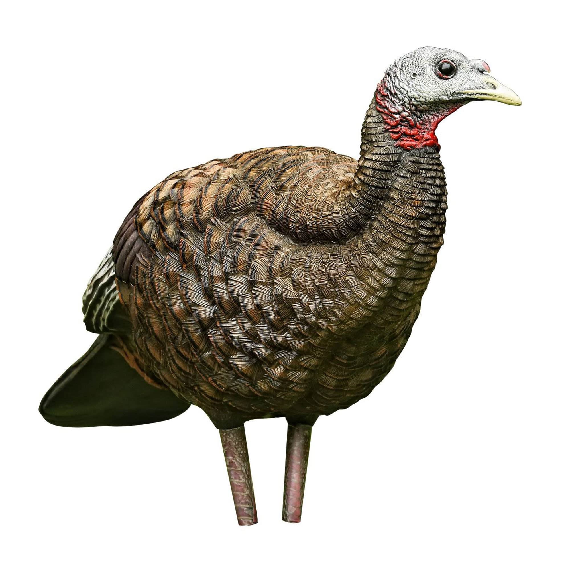 Avian-X Breeder Lifelike Collapsible Decoy Lcd Folding Hen Turkey Hunting Decoy W/ 24 Inch Stake, No Flake Lifelike Paint Detail