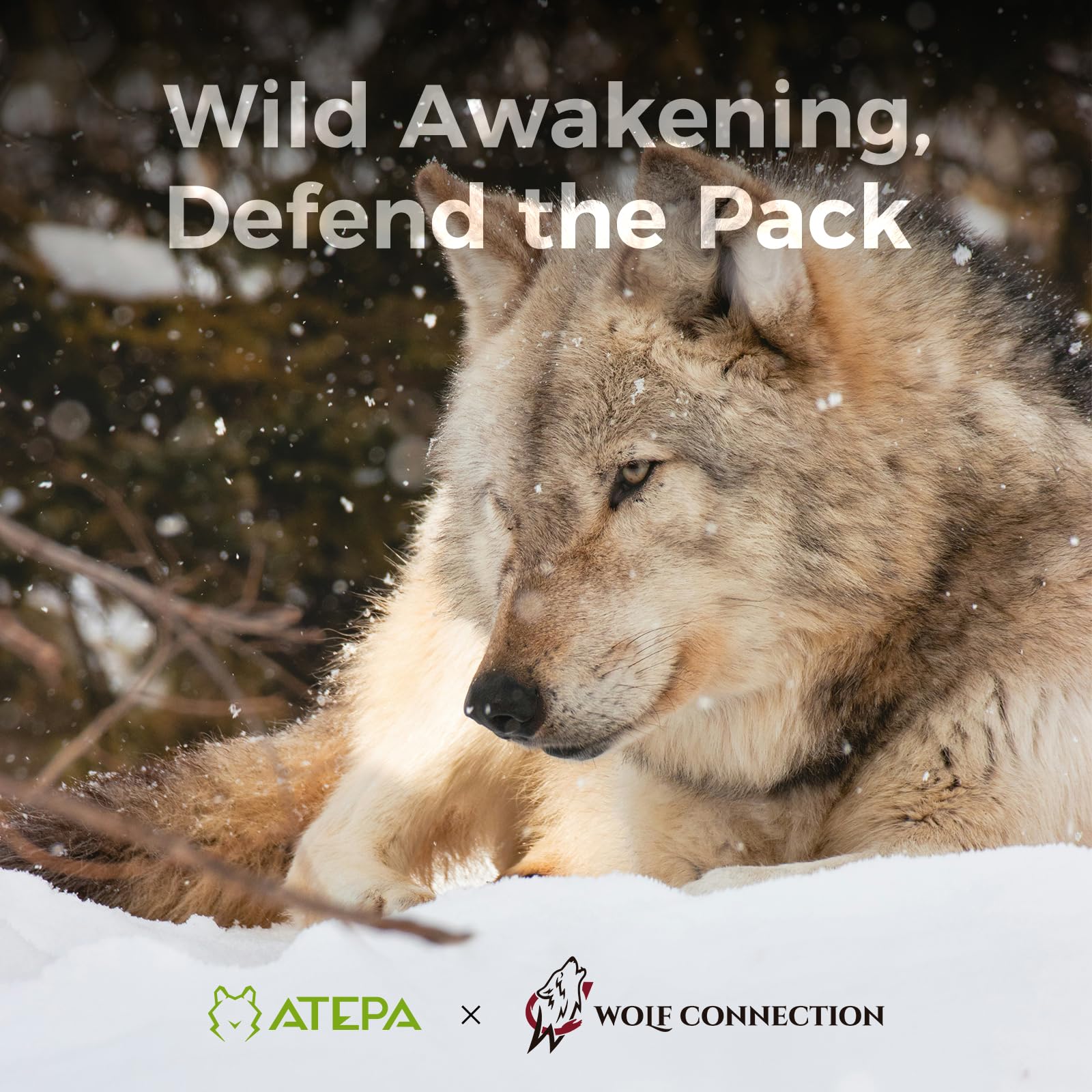 Atepa Peakvent 520 Down Sleeping Bag For Adults, 700Fp Recycled Ultralight Cold Weather 3 Season Compact Packable Sleeping Bag W