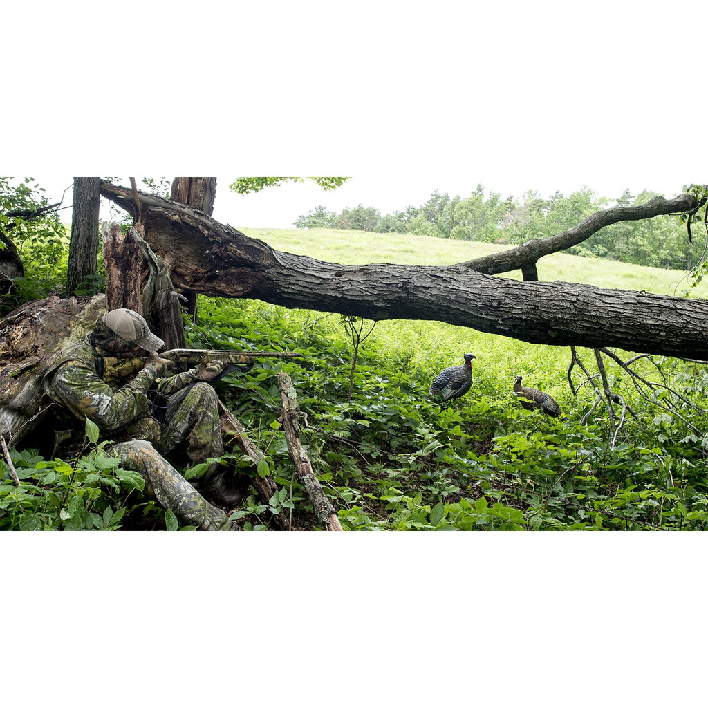 Avian X Lcd Lookout Hen Lifelike Collapsible Turkey Gobbler Hunting Decoy W/ Carbon Stake, Carry Bag, & Storage Compression Stra