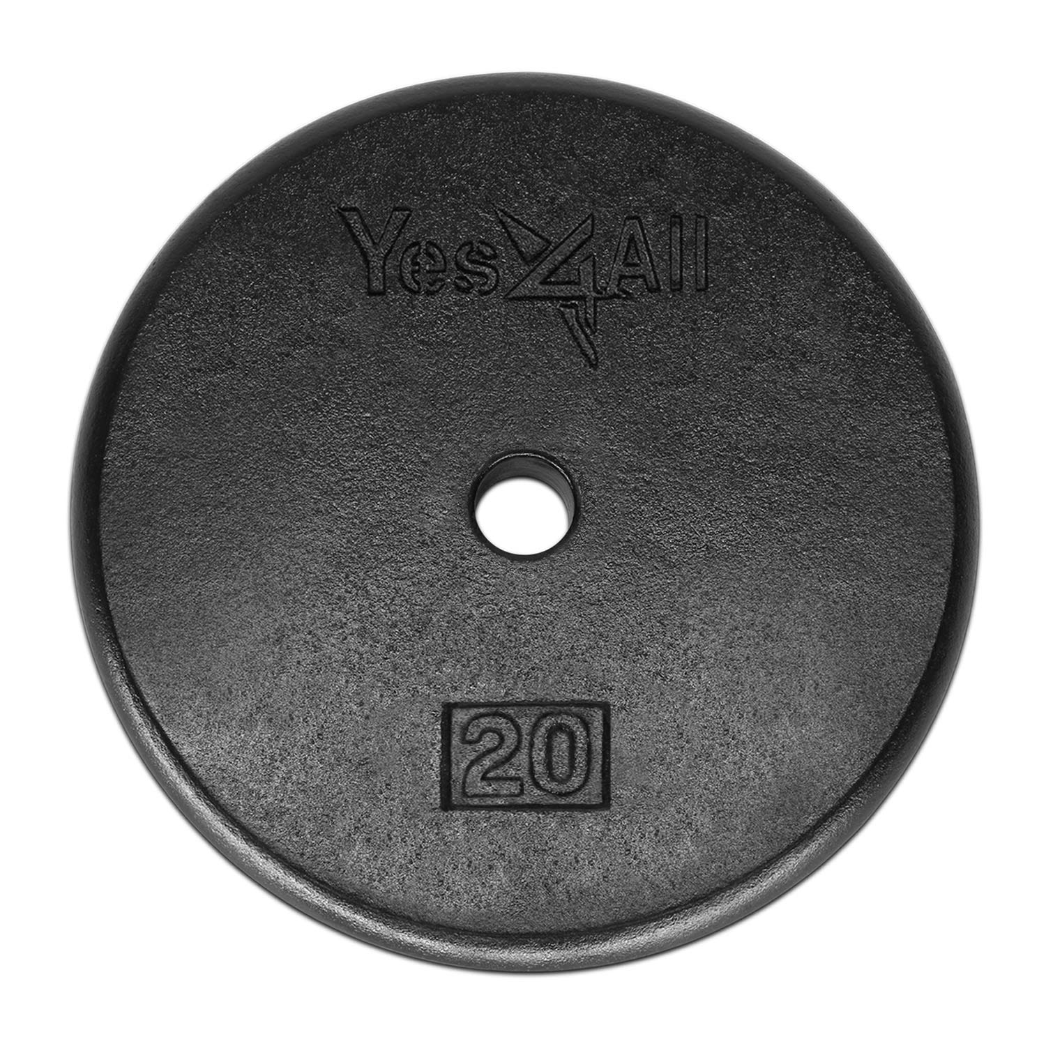 Yes4All 1-Inch Cast Iron Weight Plates For Dumbbells - Standard Weight Disc Plates (20 Lbs, Single)