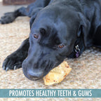 Wild Eats Water Buffalo All Natural Dusted Ear Dog Chews, Dog Treats  Dog Snacks - 20 Piece Value Pack (Grain Free Dog Treats -