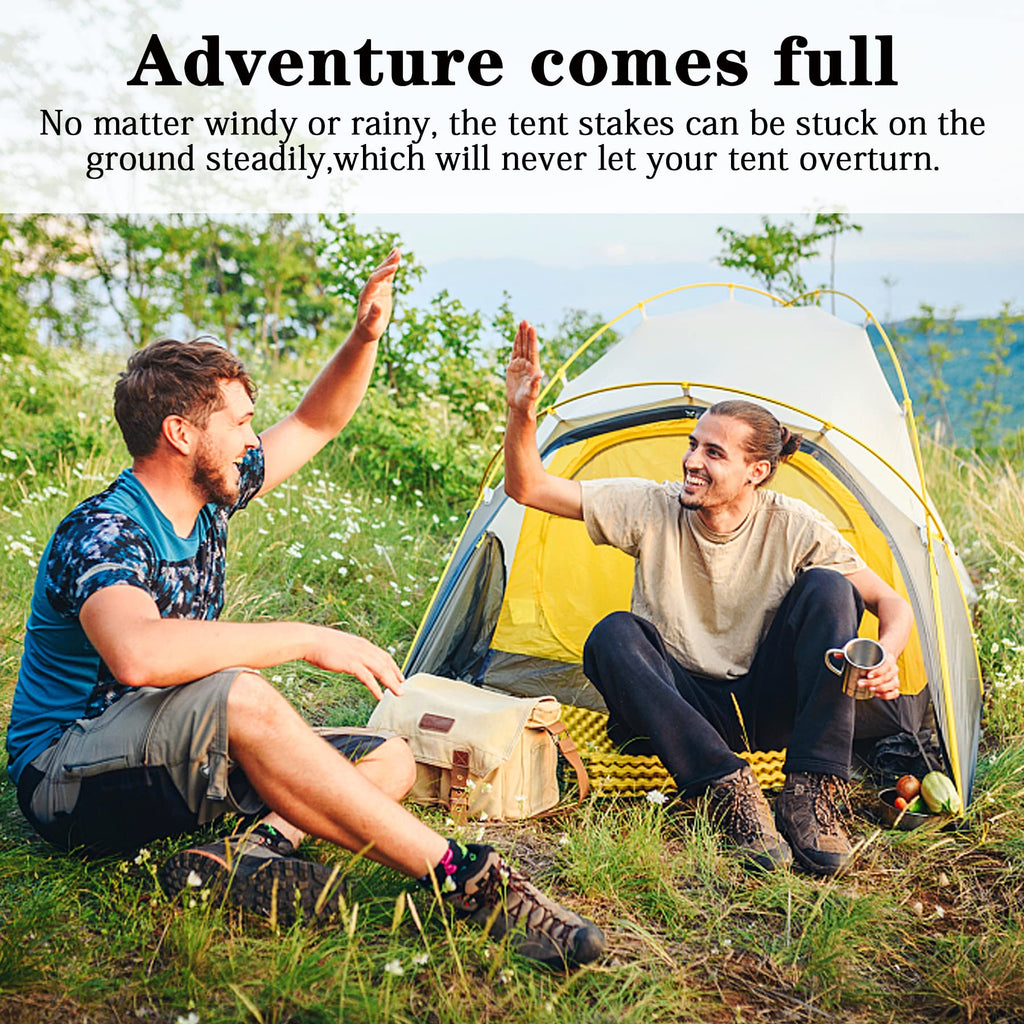Csdtylh 12 Pack Tent Stakes Heavy Duty, Metal Tent Stakes Lightweight, Black Camping Stakes, Steel Tent Spikes, Canopy Stakes, T