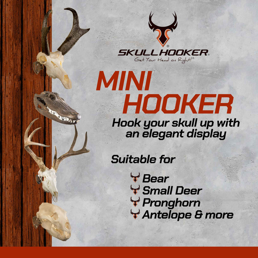 Skull Hooker Mini Hooker Skull Hanger - Perfect Kit For Hanging And Mounting Taxidermy Bear, Small Deer, Pronghorn, And Other Sm