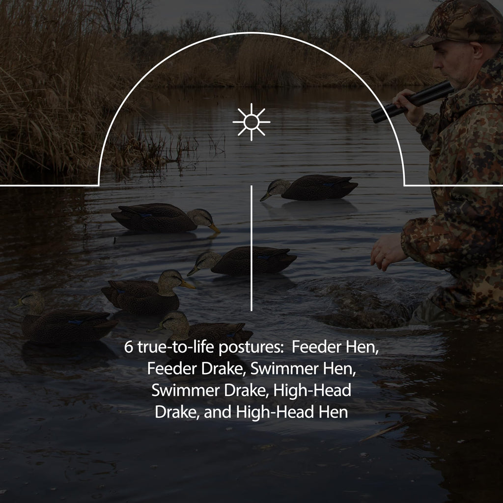 Avian X Topflight Black Realistic Duck Decoy Sets With Flocked Bodies, 6 Unique Postures, Weight Forward Swim Keel, & Durable No