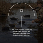 Avian X Topflight Black Realistic Duck Decoy Sets With Flocked Bodies, 6 Unique Postures, Weight Forward Swim Keel, & Durable No