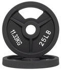 Fitvids Olympic Cast Iron 2-Inch Weight Plate for Strength Training & Weightlifting, 25 LB Pair
