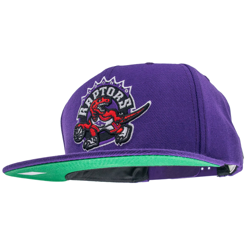 Team Ground 20 Snapback Hwc Toronto Raptors