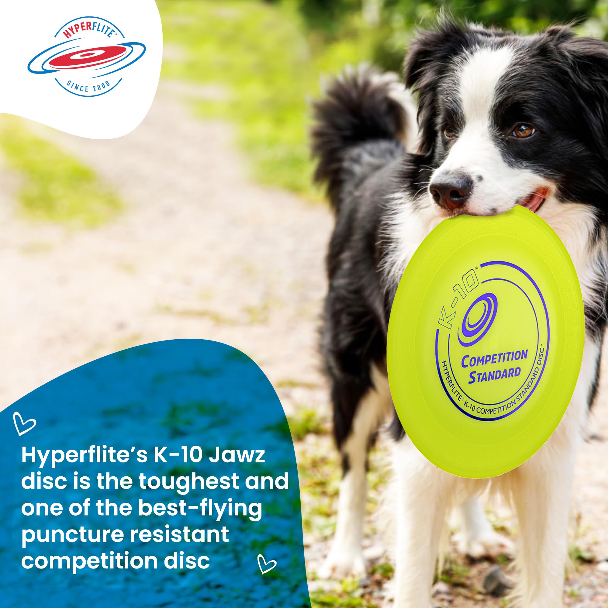 Hyperflite K-10 Competition Standard Dog Disc,Multi,