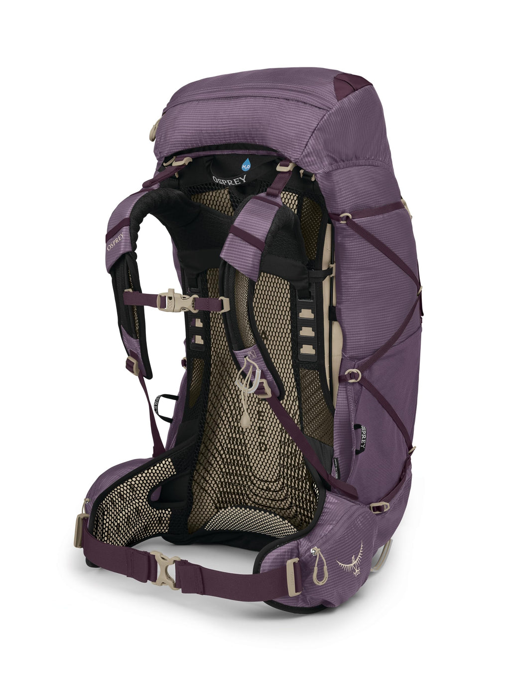 Osprey Eja 58L Womens Ultralight Backpacking Backpack, Purple Dusk, WM/L