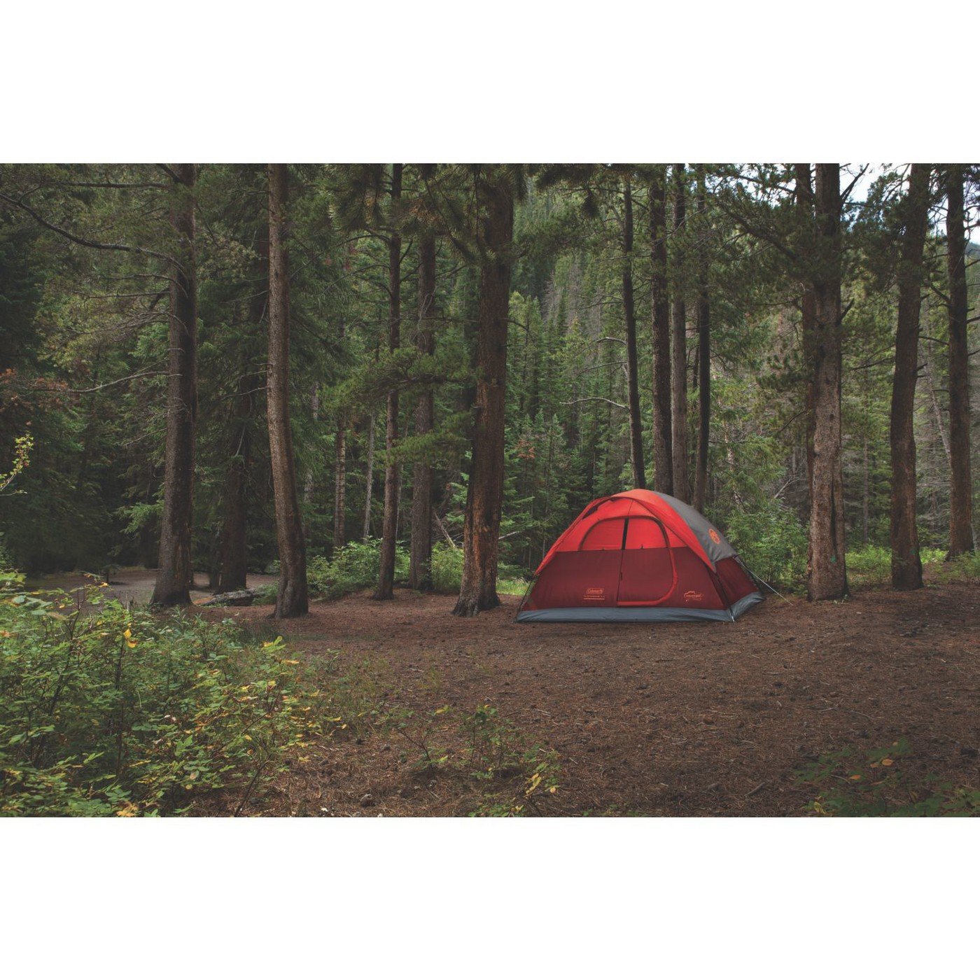 Coleman Flatwoods Tent 4P Tgt C002