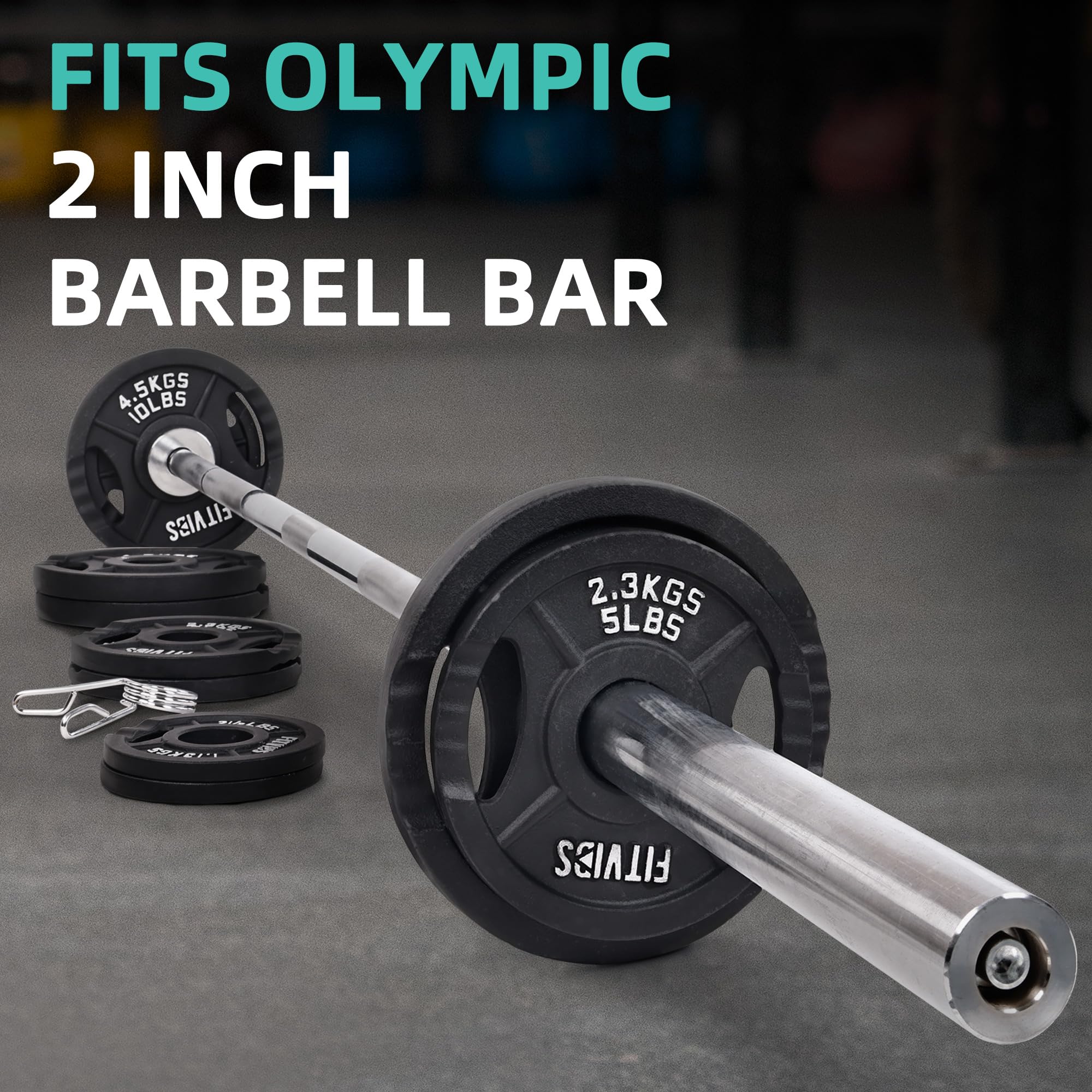 Fitvids Cast Iron 2-Inch Weight Plates for Strength Training & Weightlifting  255 LB, Style B Black