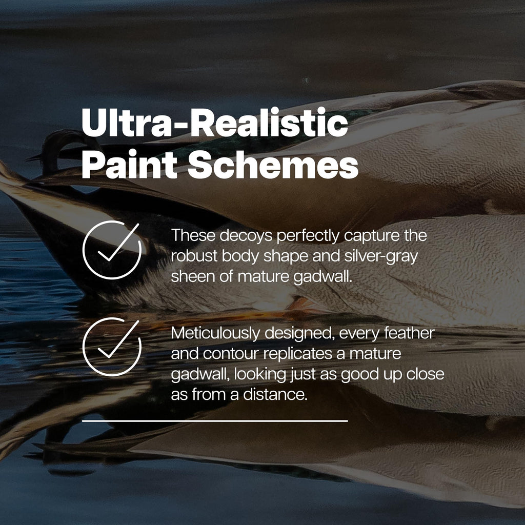 Avian X Topflight Gadwall Decoys Perfectly Replicated Late Season Gray Ducks, Weight Forward Swim Keel, Realistic Movement, Set