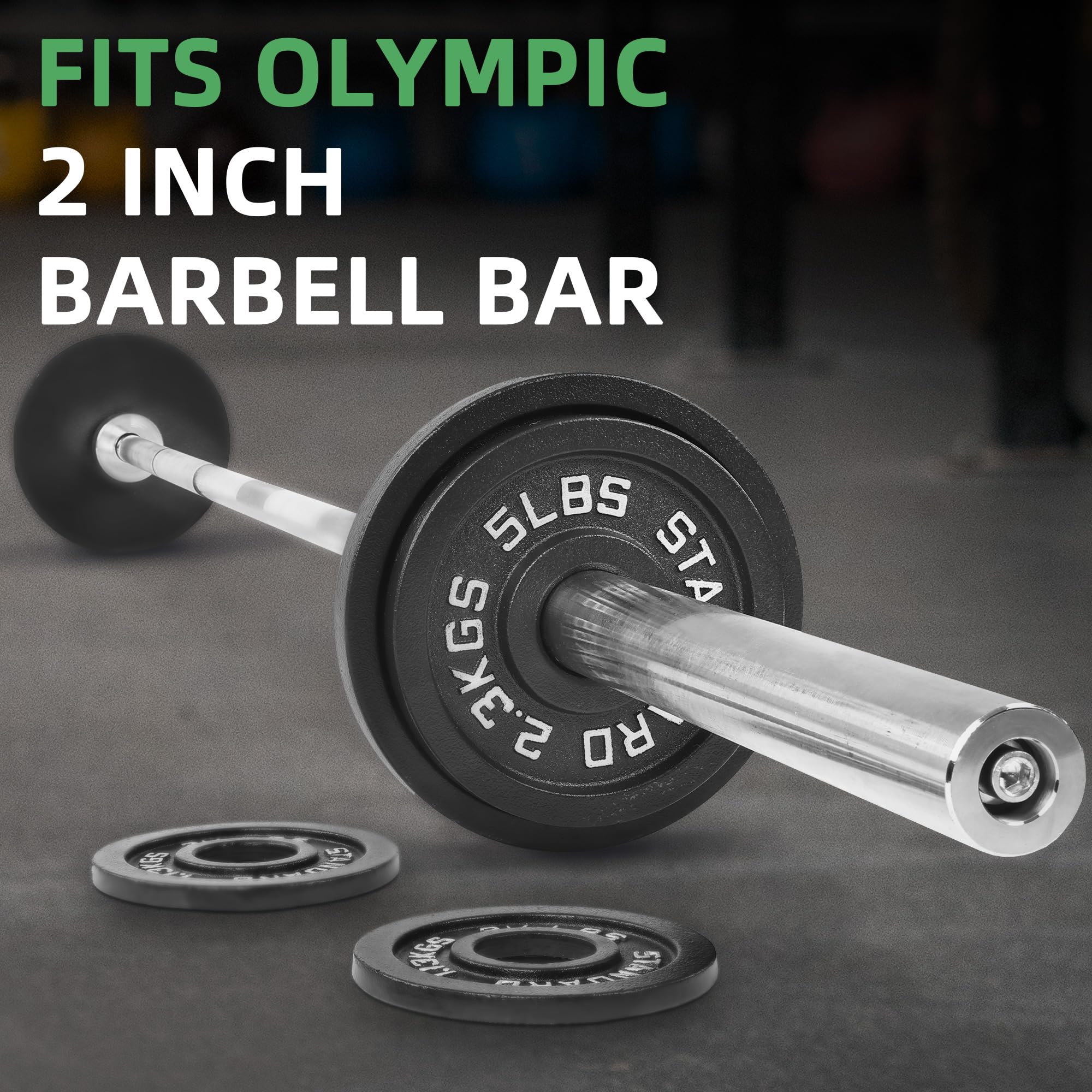 Fitvids Olympic Cast Iron 2-Inch Weight Plate for Strength Training & Weightlifting, Multiple Weights Available, 45LB Set (2.5LB