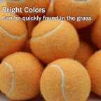 Shyujajie Tennis Balls, 20 Pack Training Tennis Balls,High Elasticity Practice Tennis Balls For Beginner, Exercise Playing Balls